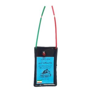 جایگزین باطری پایا سیکلت آرین مدل small cases